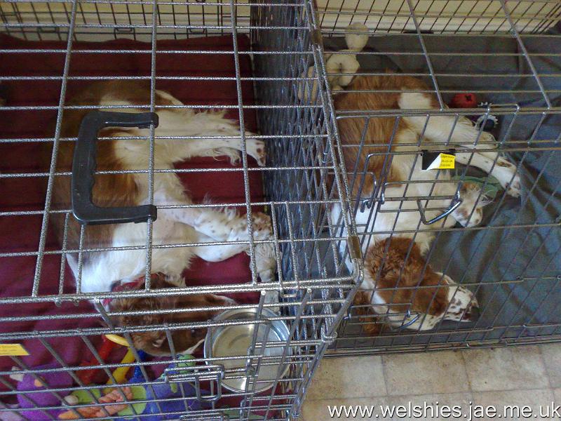 2009-10-23 01.jpg - We mirror each other...